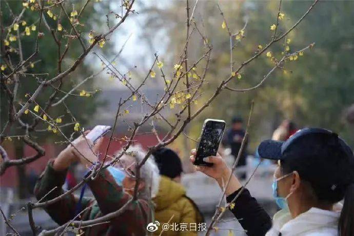 市委有多少人口_青海省有多少人口(2)