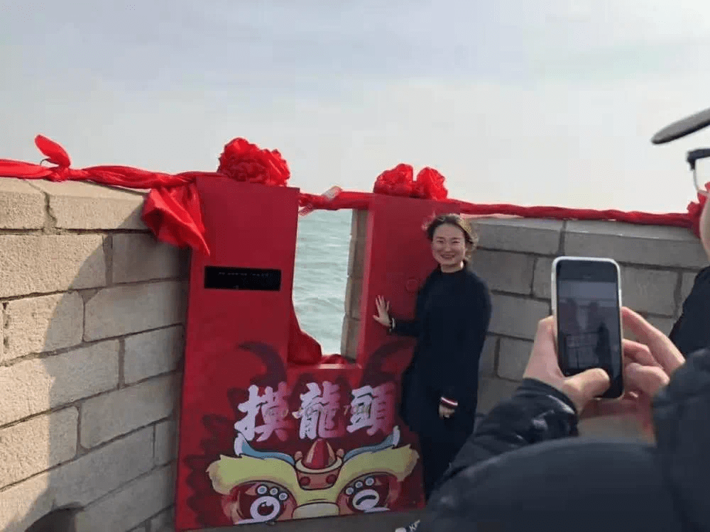 游龙入海，免费观看的短剧魅力，游龙入海，免费短剧的魅力之旅