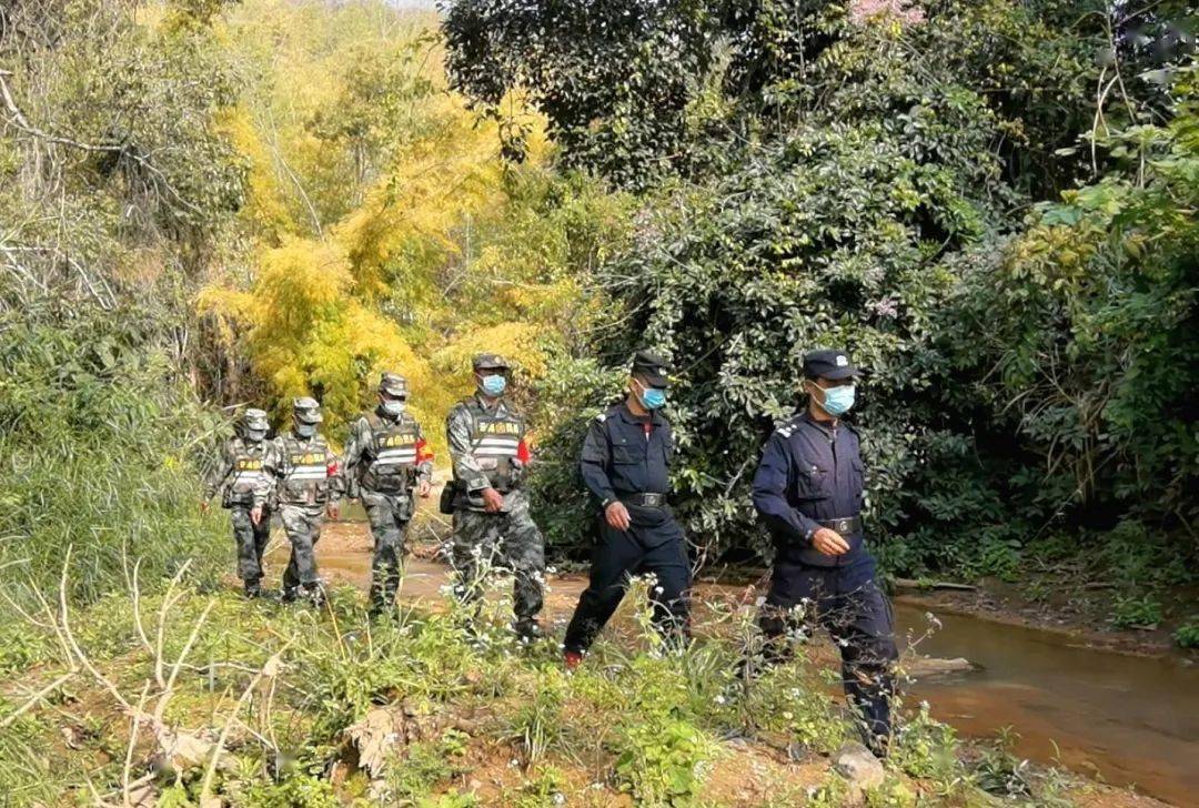西双版纳州公安局森林警察支队持续开展保护森林资源专项打击整治行动