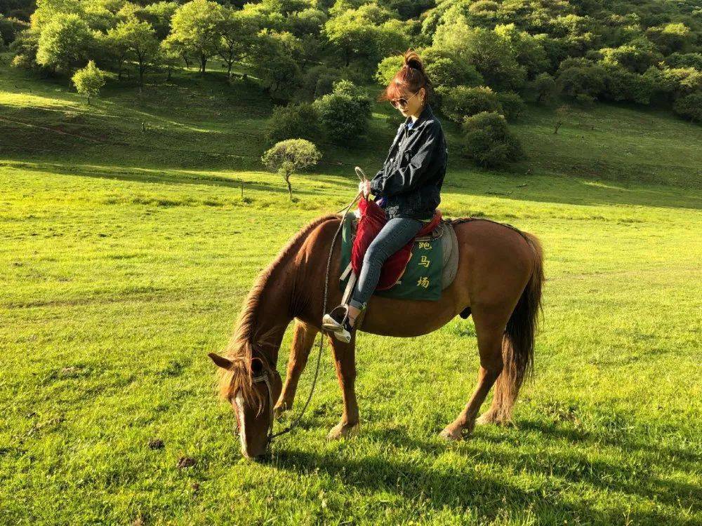 3月27日关山草原正式开园!骑马,射箭,滑草.让你爱上大草原的春天!