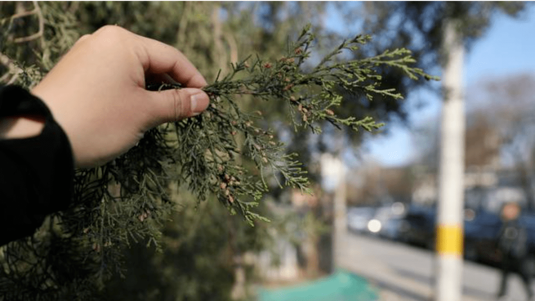 ��������Ի��۹���Ԫ��Բ�ء����֡���