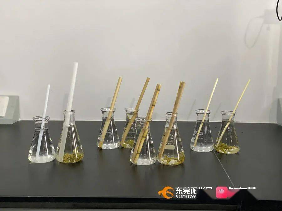 回不去的思念曲谱歌词(2)