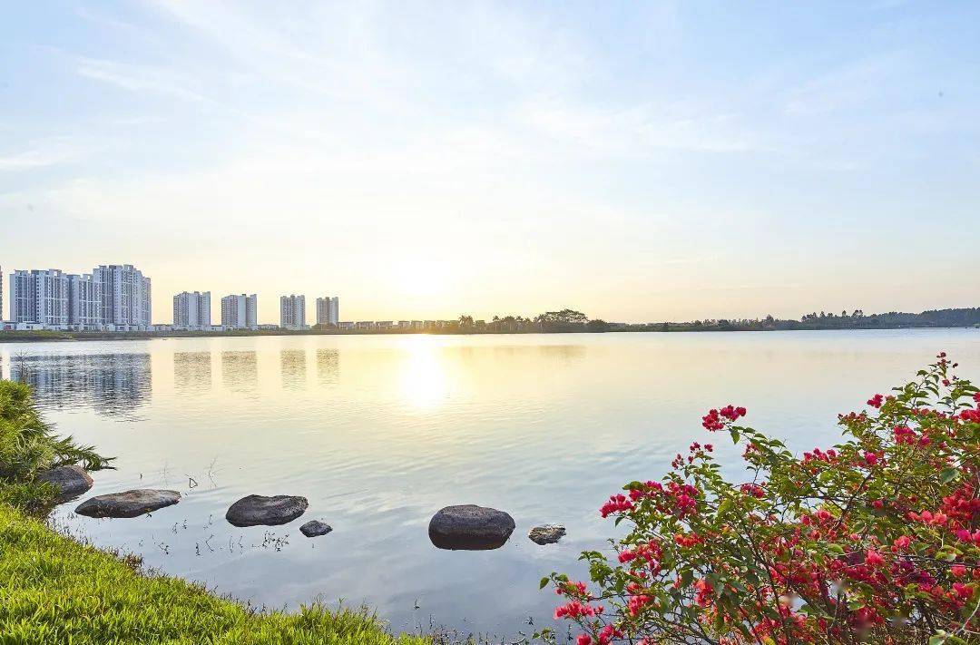 我拍了拍玥珑湖春日幸福美照征集