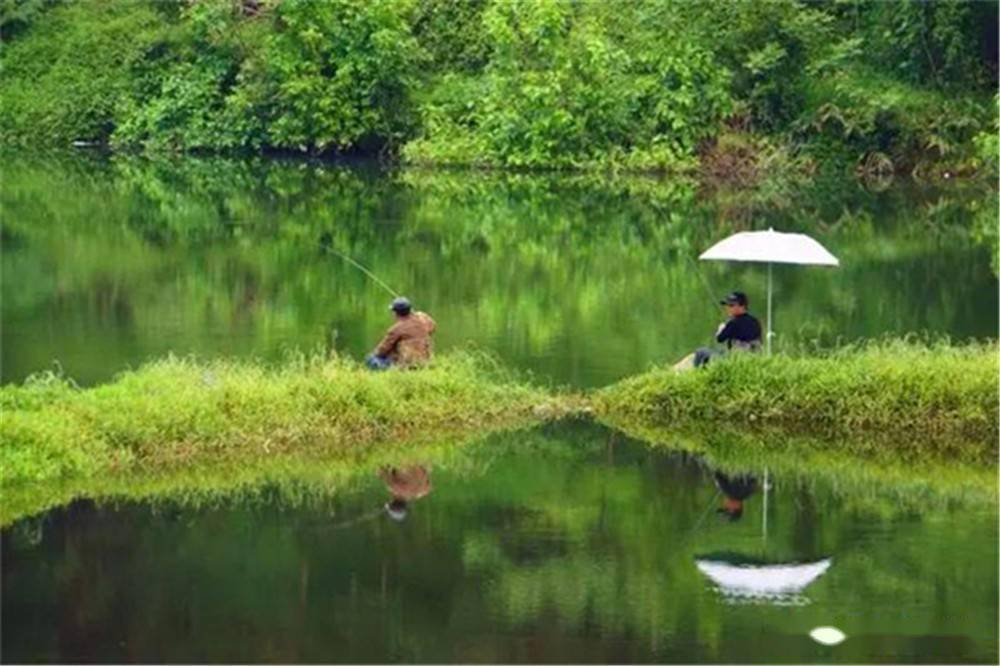 凡是深淺交界的地方往往都容易有魚道,此類地形是春季釣大水面的主要