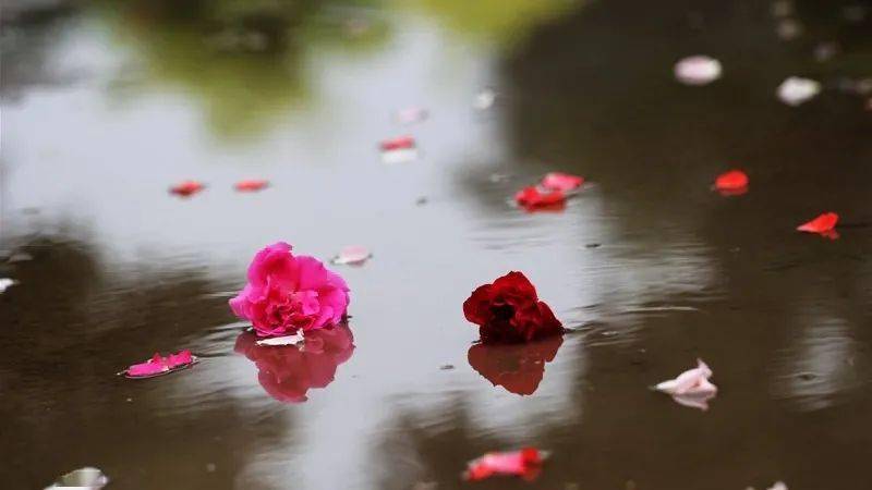 怎样放下一个不属于你的人 1f8730b4d46c4fb29f76a55b52590173.jpeg