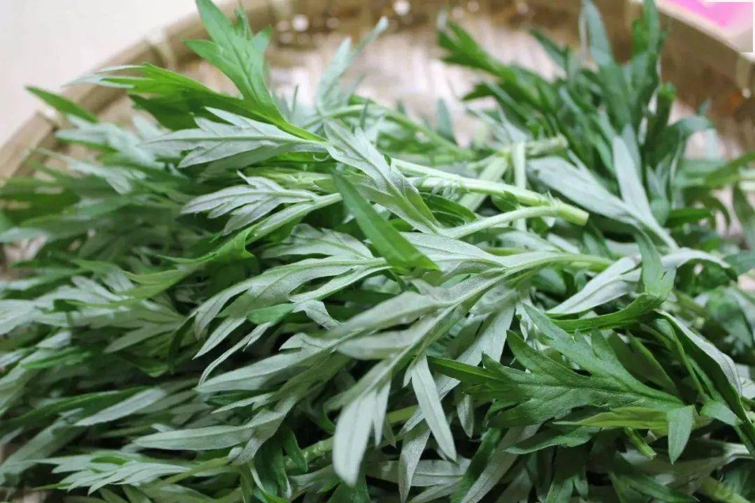 龙须草的功效与作用 948a2ffdcd4a450b859c2285fd274501.jpeg