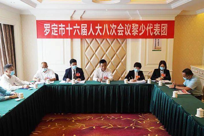 彭仲典参加罗定市第十六届人民代表大会第八次会议黎少,素龙代表团