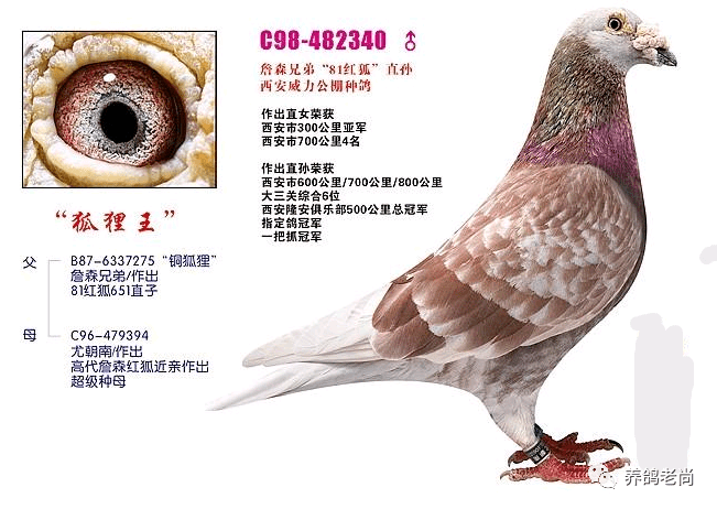 0382b4352c574455a0c1a730b390442d.png