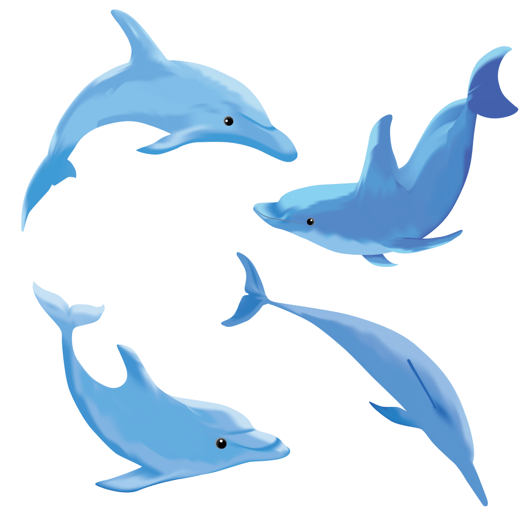 一听专家来考察白海豚结伴来迎宾