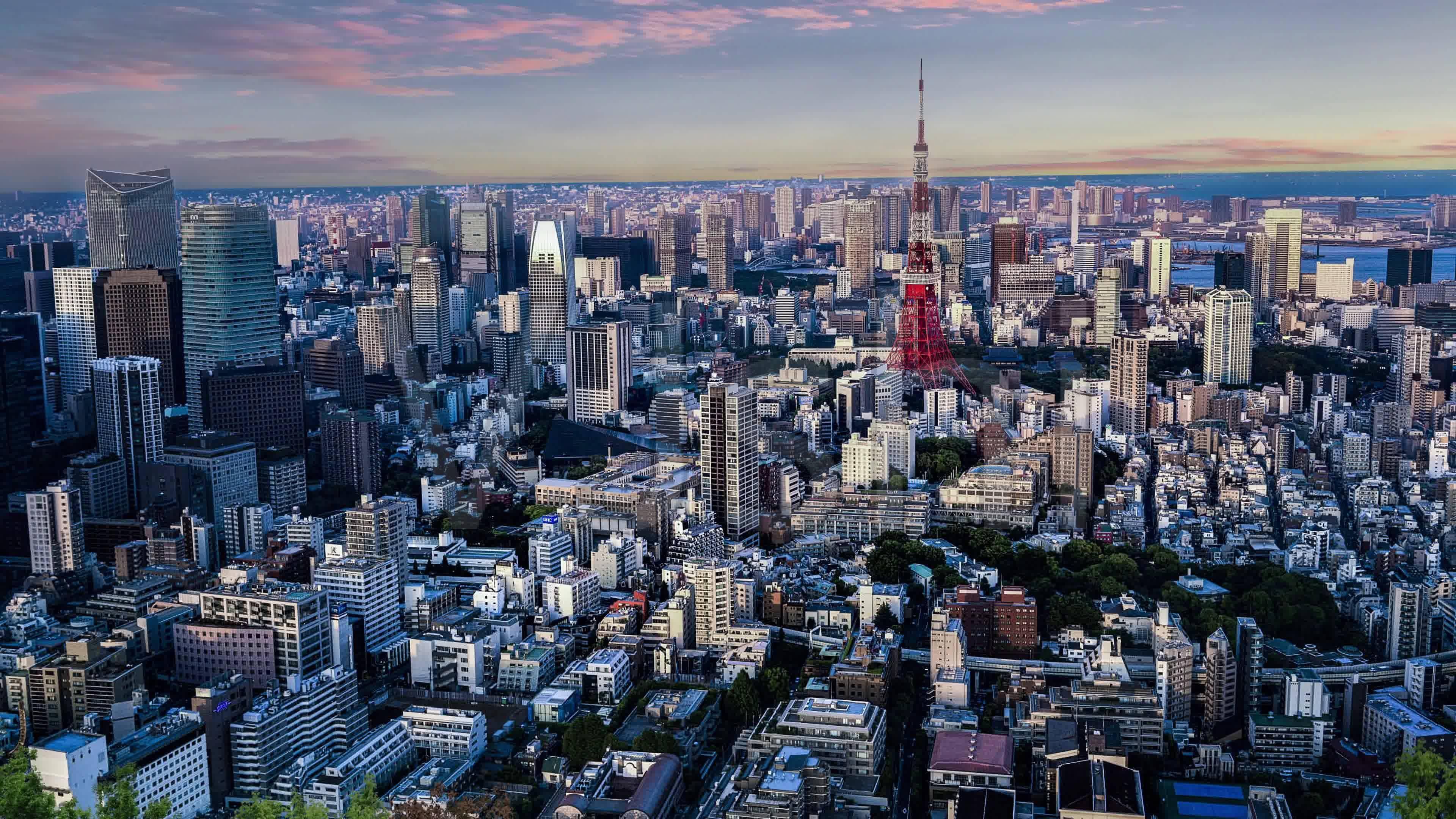 在日本捡钱上交后竟然还可以归个人 日本就有人因此成了亿万富翁 日元