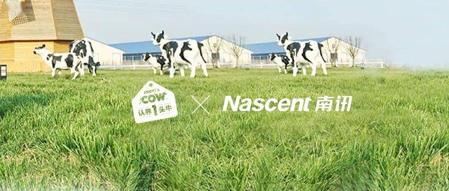 认养一头牛国民新锐牛奶的强势破圈之路