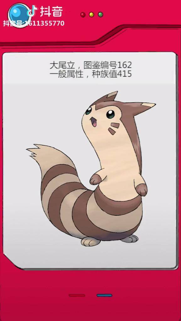 全国图鉴编号162,大尾立～精灵宝可梦 宠物小精灵 神奇宝贝 动漫 游戏