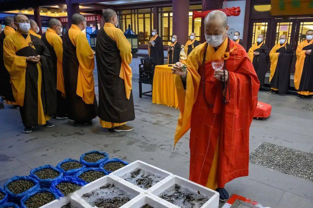 清晨放生众生惑业遣除,自在圆满祈愿佛光护佑