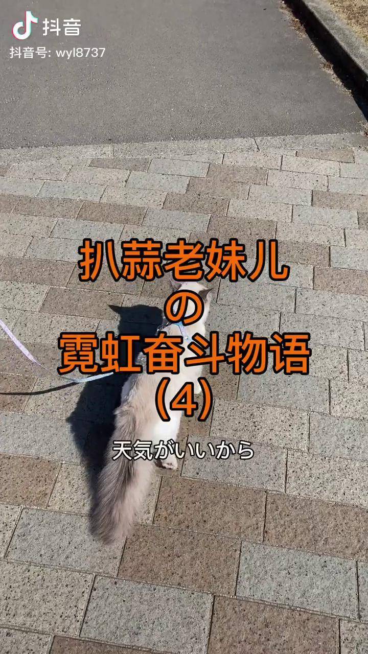 一个东北老妹儿的留学工作成长记面试之大厂前台真带劲儿日本留学日语