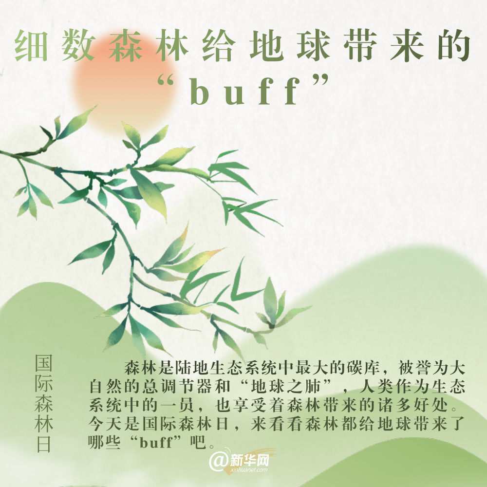 细数|细数森林给地球带来的buff#