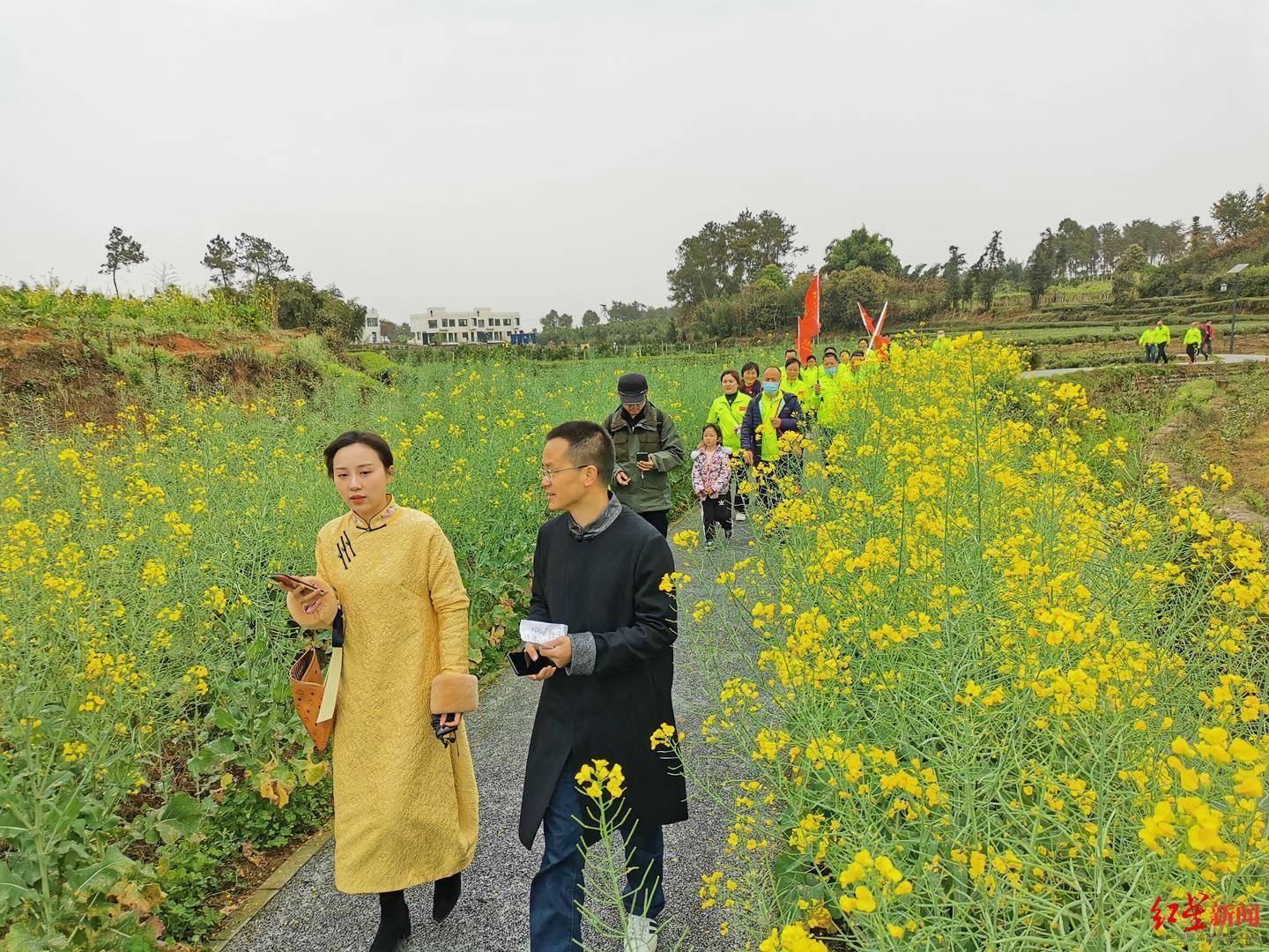 来蒲江县明月村打卡，2021年雷竹春笋艺术月活动开幕了