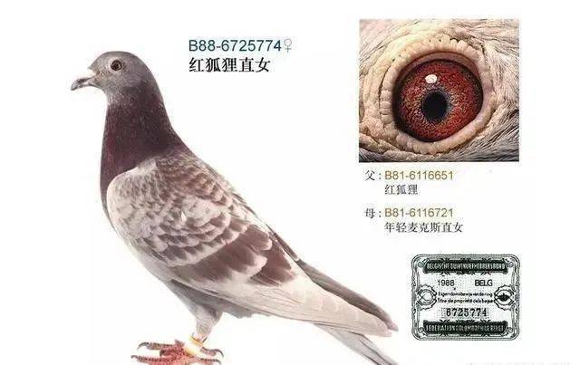 a42a6a1c6c604f60a855e17373609ff3.jpeg