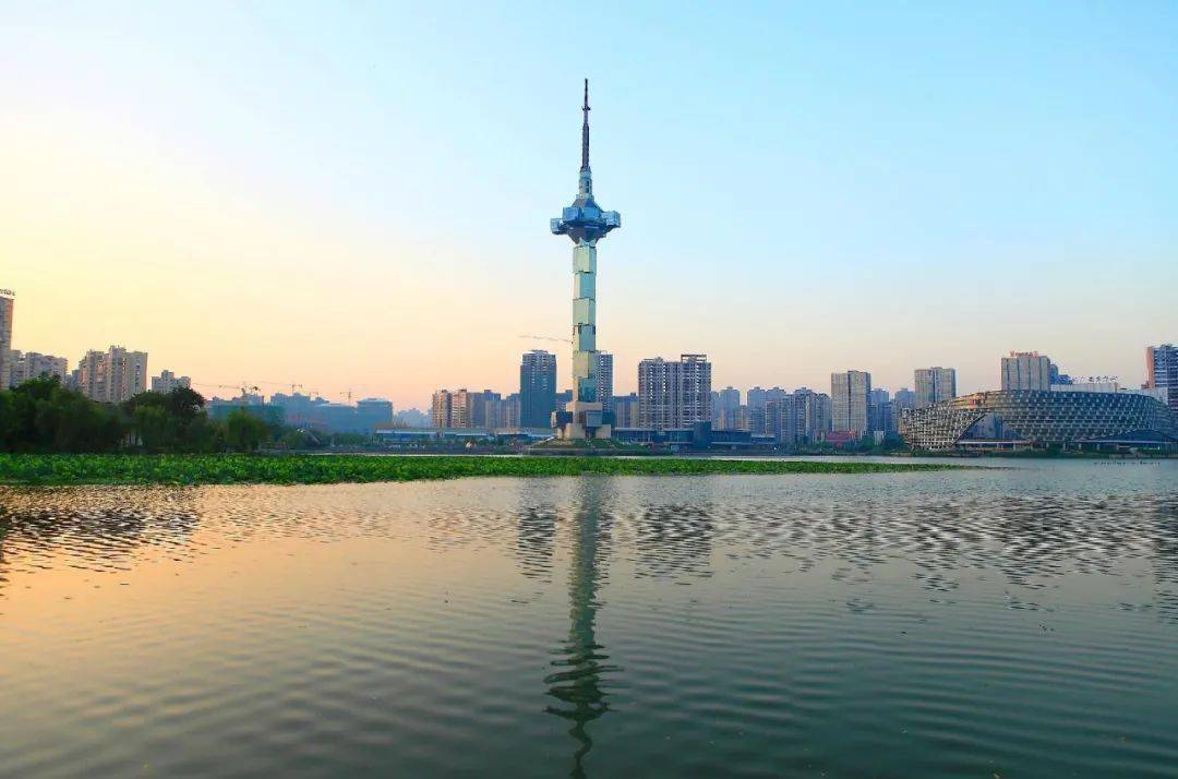 兴化的gdp排名_兴化油菜花(3)