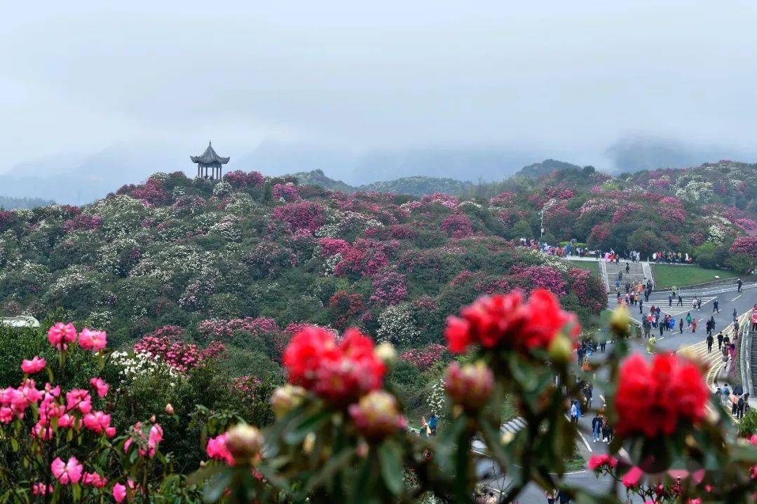 2021年毕节市人口_2021跨年图片(3)