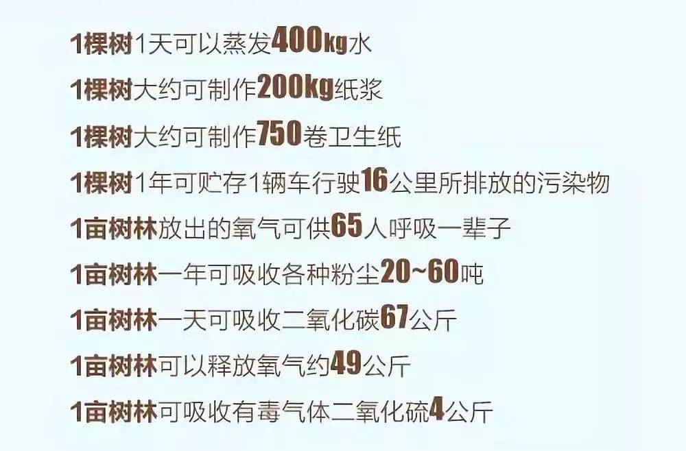 那一抹绿简谱_一抹夕阳简谱(3)