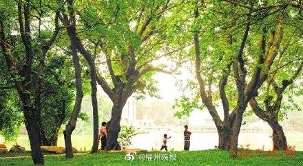 拥有1248个公园,福州成“千园之城”!
