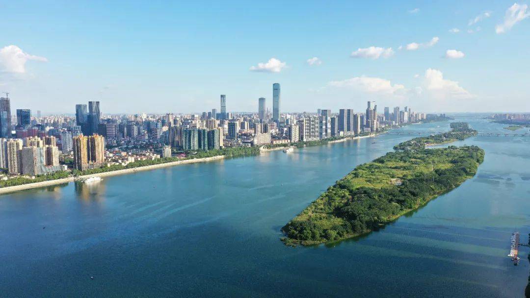 什么叫三高四新 27839c87b2ae4d988969a4a5194df4b0.jpeg