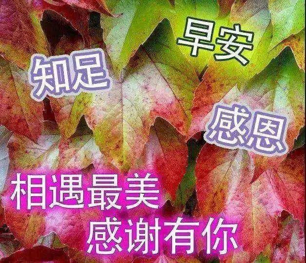 原創非常好看的早上好問候語表情圖片帶字早晨好問候句子表情