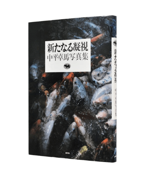 都市、風景、圖鑑：中平卓馬的攝影實踐| Voices of Photography