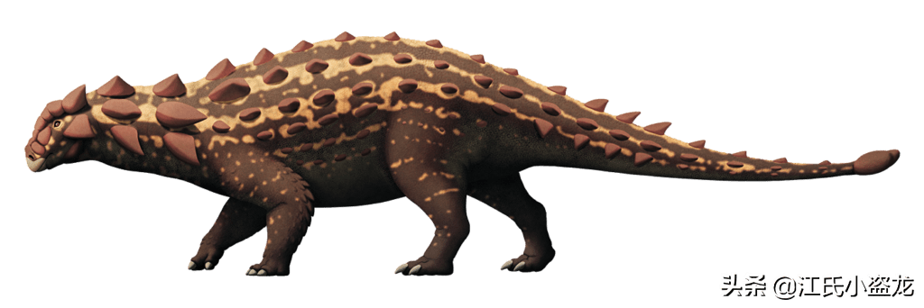 图注:根据已有化石复原的甲龙类恐龙,图片来自论文编