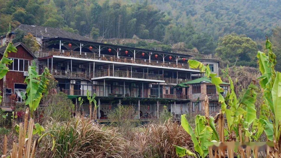 实探黄土岭山庄鲜嫩回甘的春笋比期待中更好吃