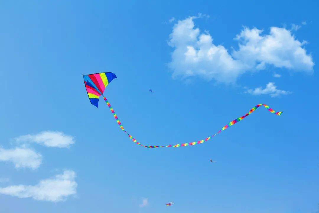 【春】吃春菜,赏春景,春天就是这么嗲!!!_上海