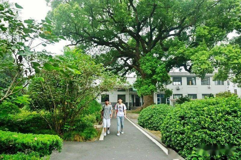 梦萦母校献给丰惠中学创办八十周年┃作者范智荣