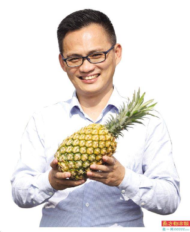 80后"菠萝哥"和他的"菠萝的海"