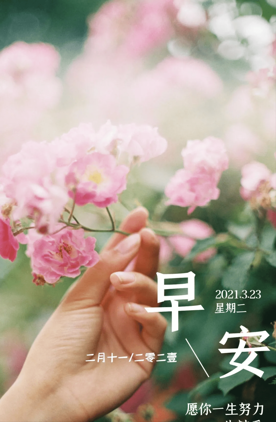 0d3f3a8c62b641efaa6a8ef2266e7b08.png