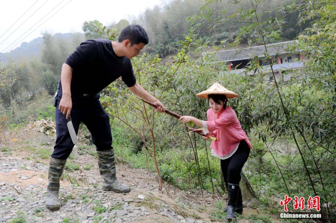 回鄉種地,立志當農民!