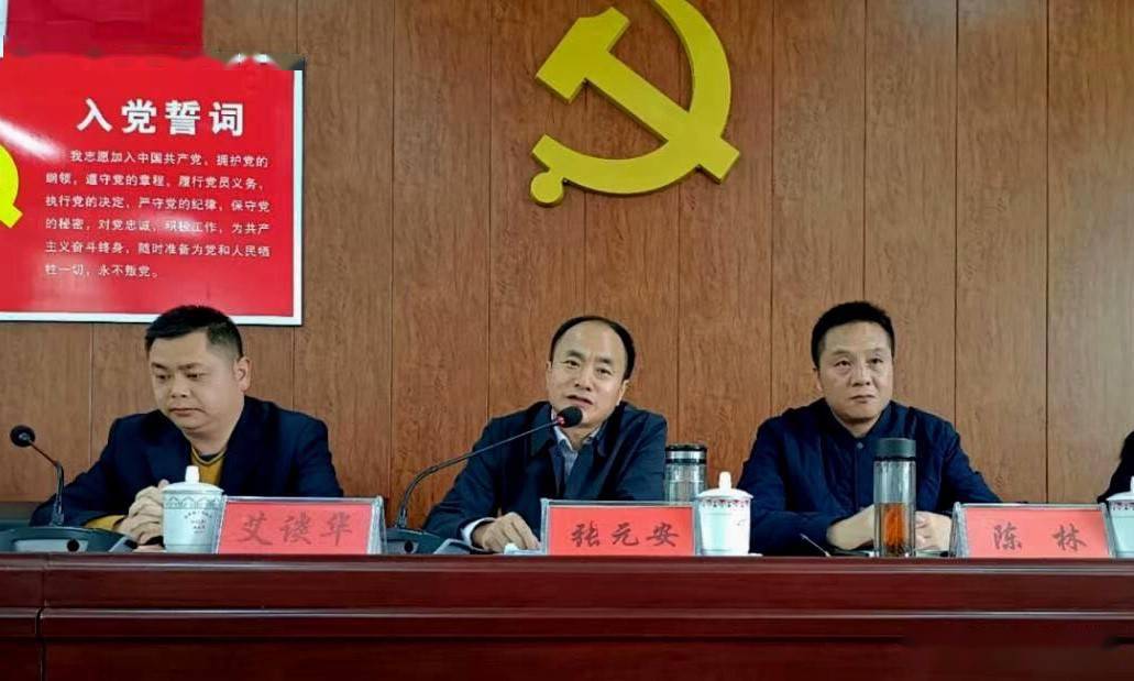 县委常委,县委办主任张元安讲话,他首先对金罗镇2020