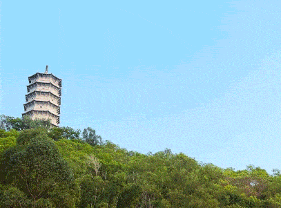 407_301gif 动态图 动图