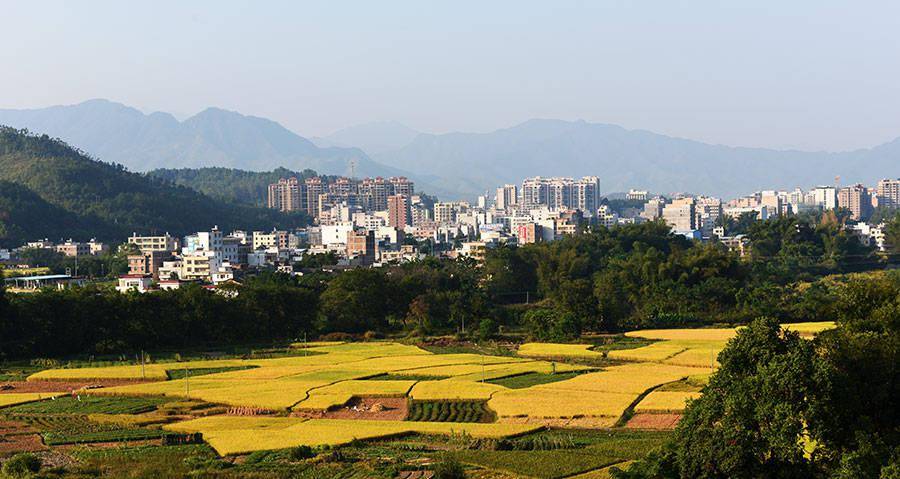 河源市有多少人口_河源市东源县顺天镇 文化金史生机勃发②和顺家风孕育族人(2)