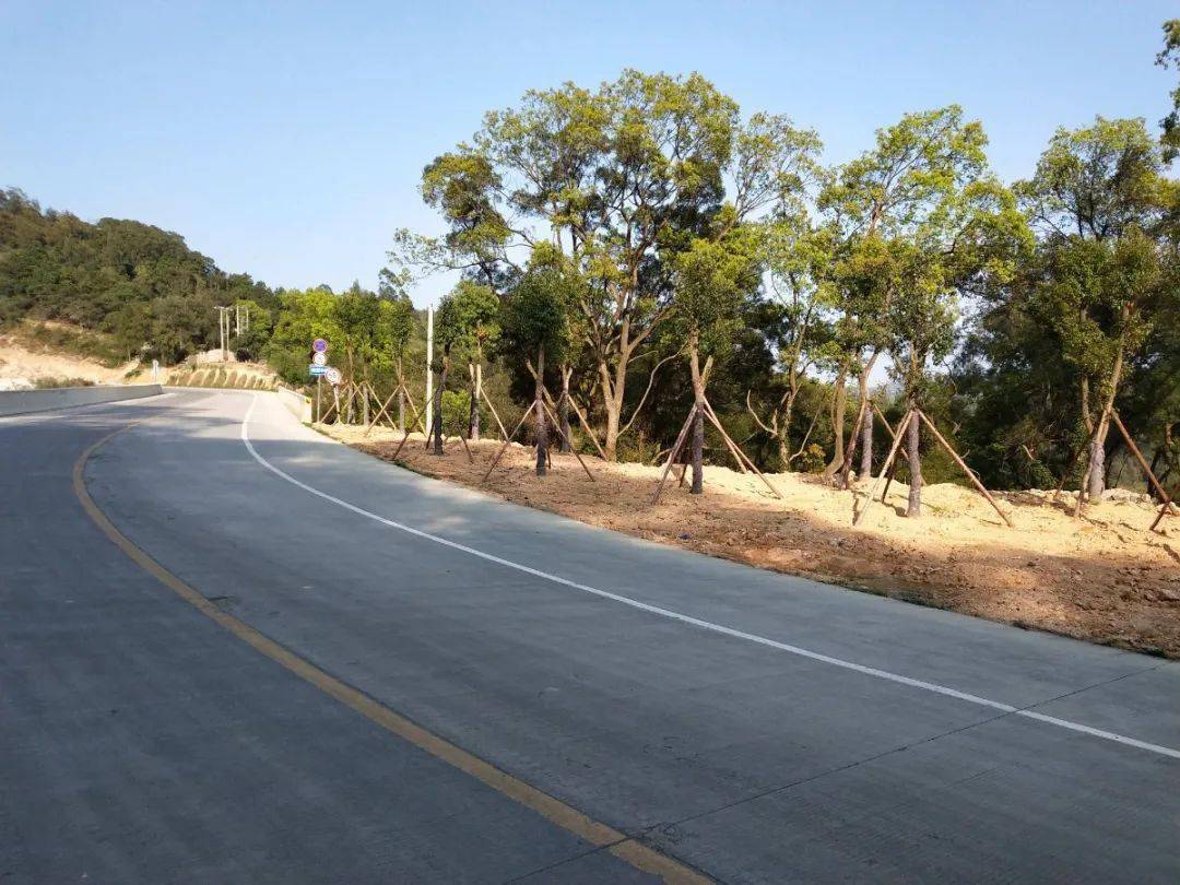 为加快推进塔七公路绿化美化工程,助力南岭创建森林城镇,3月23日晚,市