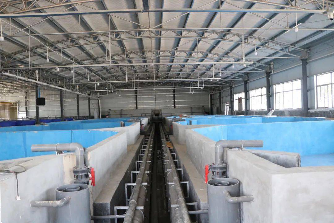 贵州省最大鱼苗繁育基地建设完成工程量90