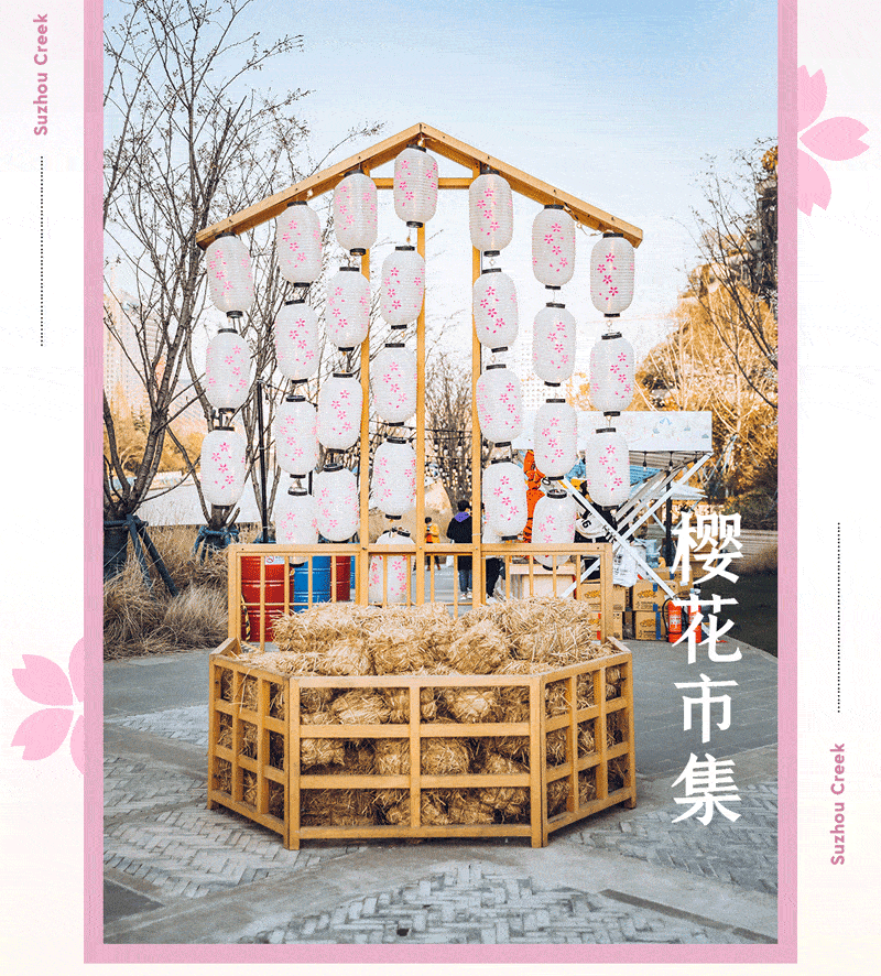苏州河畔，粉了！天安 · 千树首个樱花市集爆美上线！
