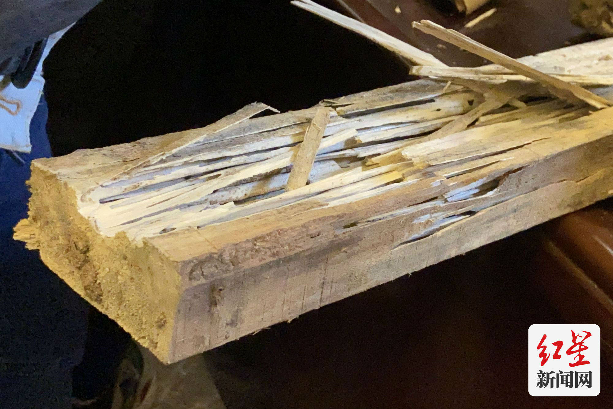 被白蚁啃噬过的木头
