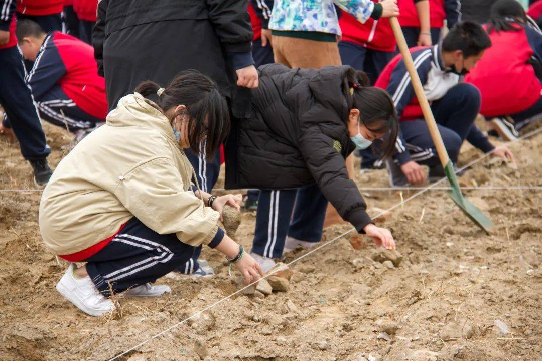 把劳动的种子种在学生心中杨镇二中农业基地开园啦丨校园风采