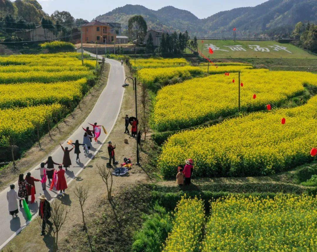 赤東鎮徐良村美麗農村公路放眼蘄春大地,一條條新鋪與改造的農村公路