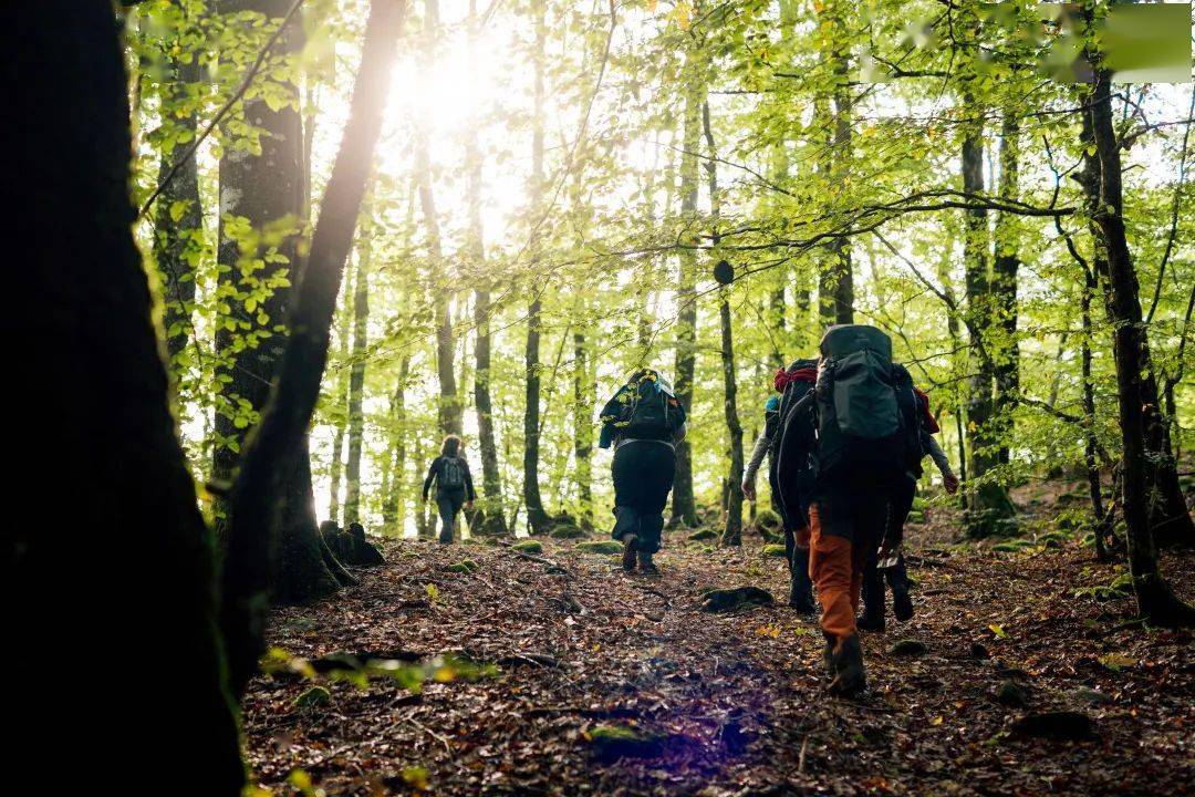 我徒步七个小时,居然才排微信运动第七?