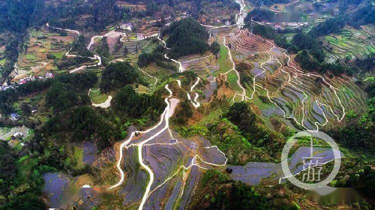 3月20日,高空俯瞰重庆市酉阳土家族苗族自治县黑水镇大涵村,花田乡