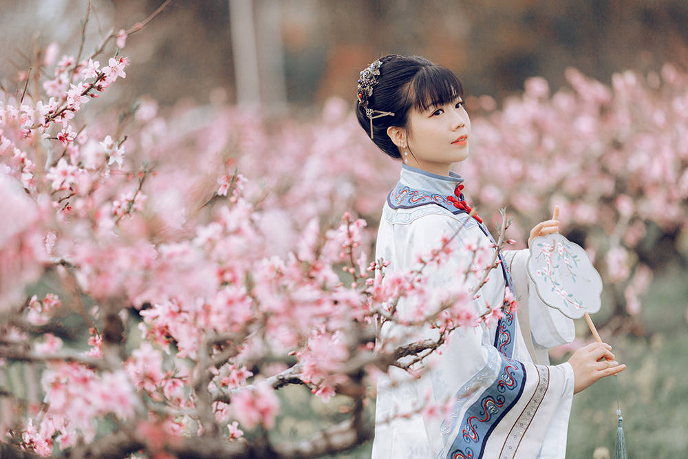 上海桃花节回归，穿越五条赏花线路感受“向往的生活”