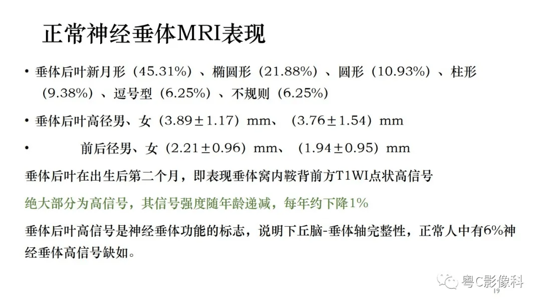 儿童脑垂体高度3mm图片