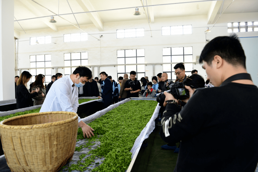 湖南常宁举办“聚焦茶旅产业”网络媒体采风活动