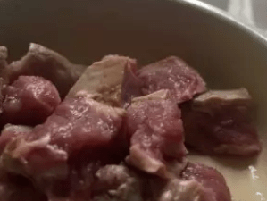 生骨肉是什么 2bc3f084a2084a3b86abfaa626fad72d.png